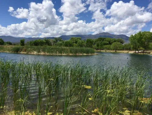 Dead Horse Ranch Lagoon Loop