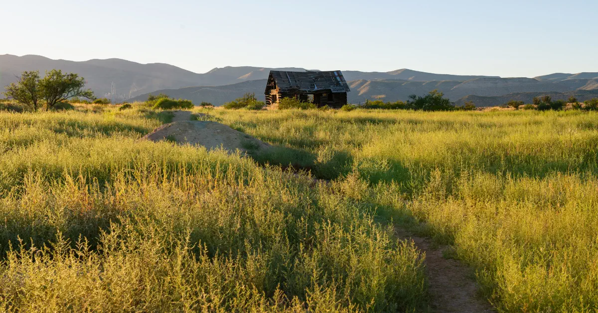 Dead Horse Ranch State Park
