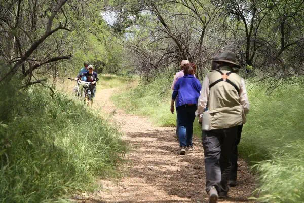 Hiking at Dead Horse Ranch - Arizona State Parks