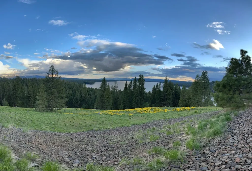 Ponderosa State Park McCall - near Osprey Cliff Overlook